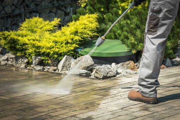 Best Fence Cleaning  in South Pekin, IL