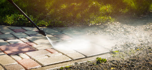 Best Dumpster Area Cleaning  in South Pekin, IL